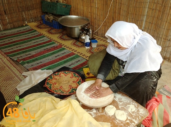 Jammarkarjzaw (11).jpg